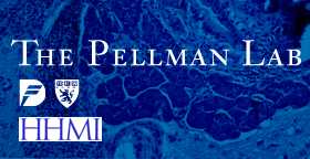 DFCI-HMS Pellman Lab